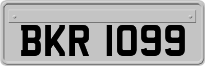 BKR1099