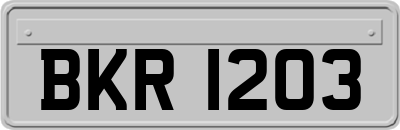 BKR1203