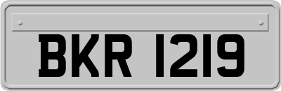 BKR1219