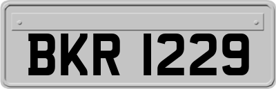 BKR1229