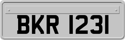 BKR1231