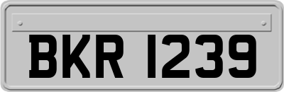 BKR1239