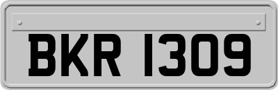 BKR1309
