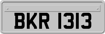 BKR1313