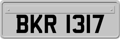BKR1317
