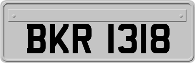 BKR1318