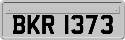 BKR1373