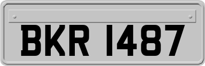 BKR1487