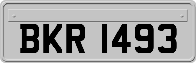 BKR1493