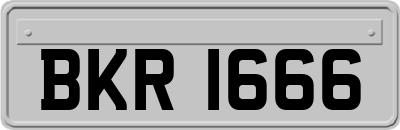 BKR1666