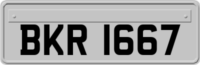 BKR1667