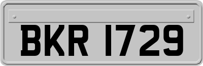 BKR1729