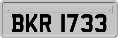 BKR1733