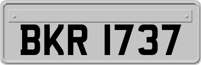 BKR1737