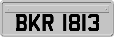 BKR1813