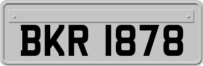 BKR1878