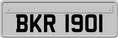 BKR1901