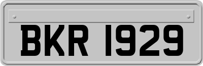 BKR1929