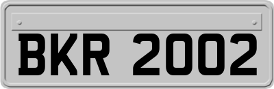 BKR2002