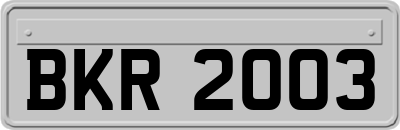 BKR2003