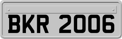 BKR2006
