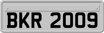 BKR2009