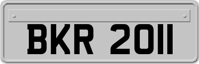 BKR2011