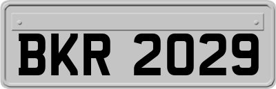 BKR2029
