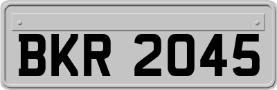 BKR2045