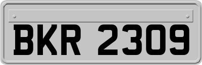 BKR2309