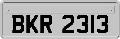 BKR2313