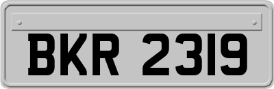 BKR2319