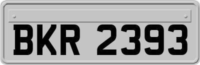 BKR2393