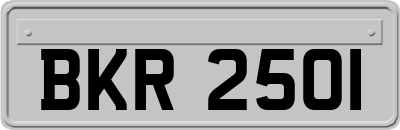 BKR2501