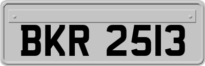 BKR2513