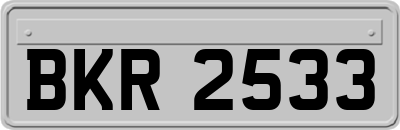BKR2533