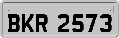 BKR2573