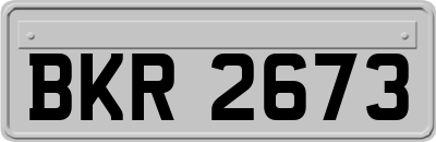 BKR2673