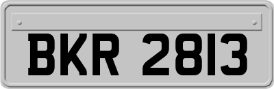 BKR2813