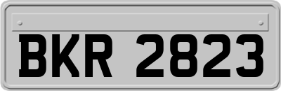 BKR2823