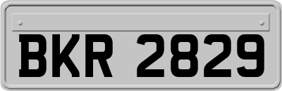 BKR2829