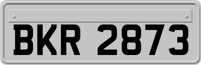 BKR2873