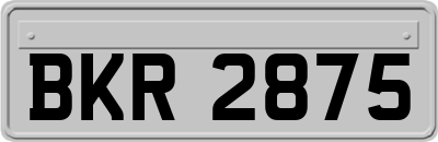 BKR2875