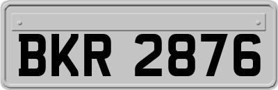 BKR2876
