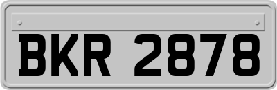 BKR2878