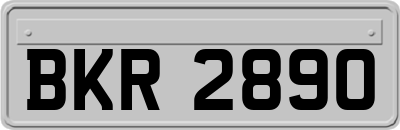 BKR2890