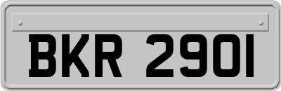 BKR2901