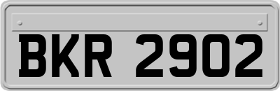 BKR2902