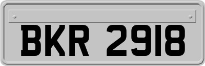 BKR2918