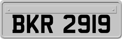 BKR2919